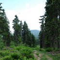 Grosser Arber und Hirschgehege Buchet - 2010.06.27_14_53_32